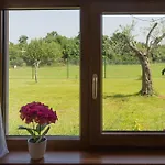 Pool & House Betiga 2 - Happy